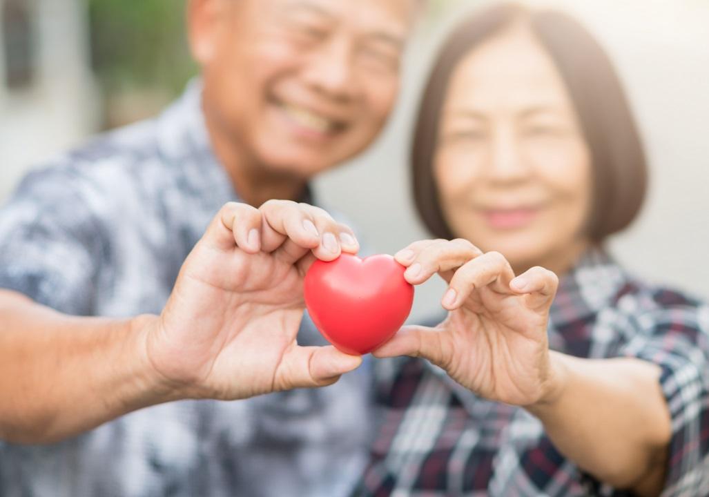 senior couple holding healthy heart